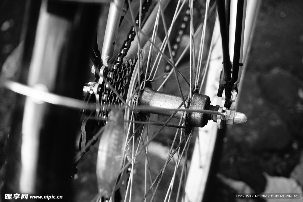 自行车共享单车车技图片