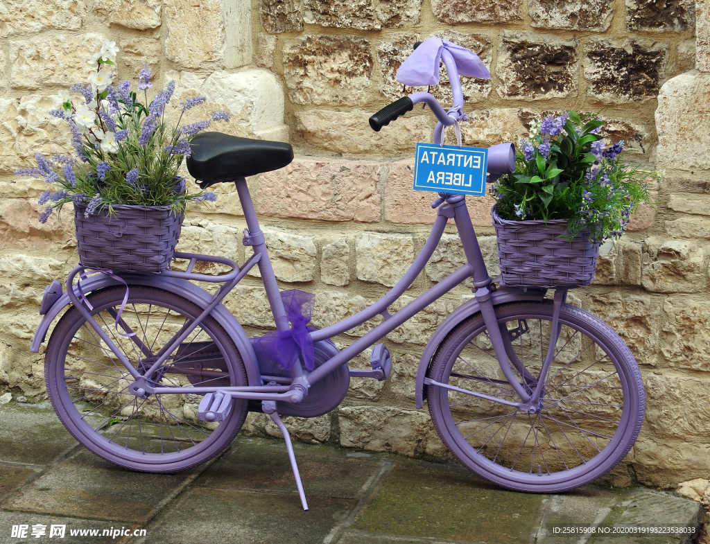 自行车共享单车车技图片