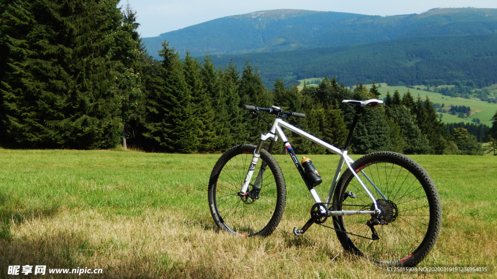 自行车共享单车车技图片