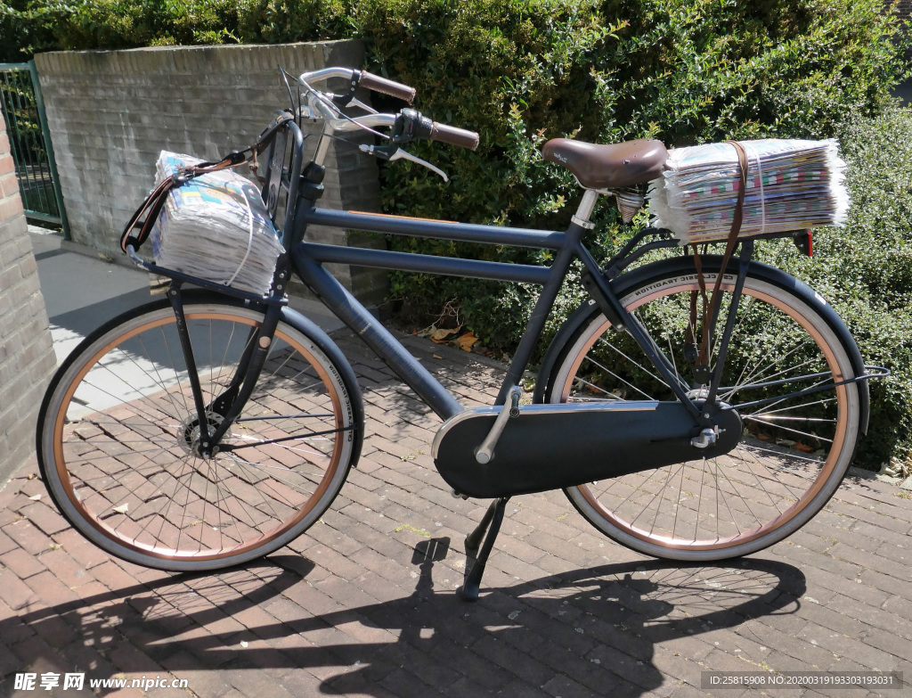 自行车共享单车车技图片