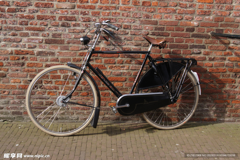 自行车共享单车车技图片