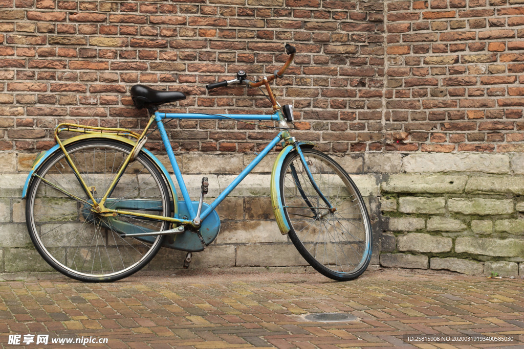 自行车共享单车车技图片