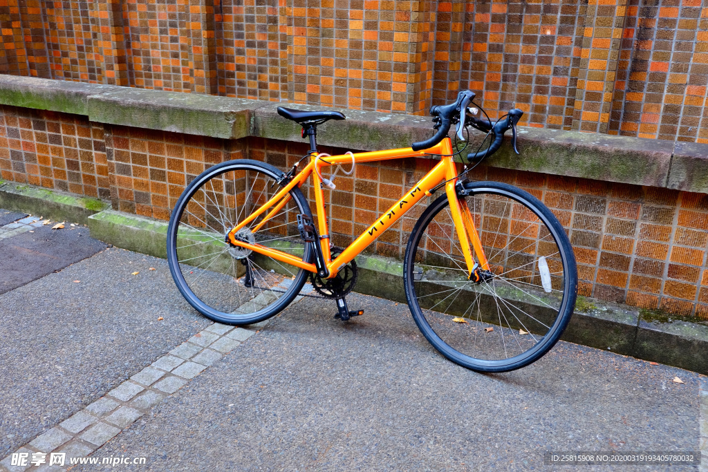 自行车共享单车车技图片