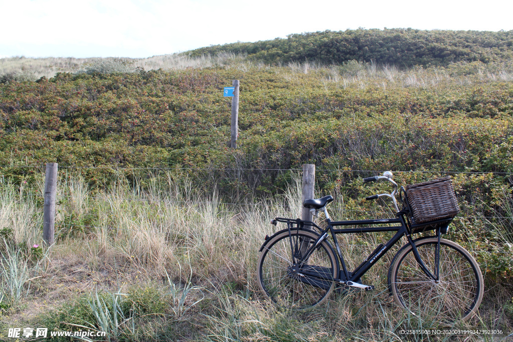 自行车共享单车车技图片