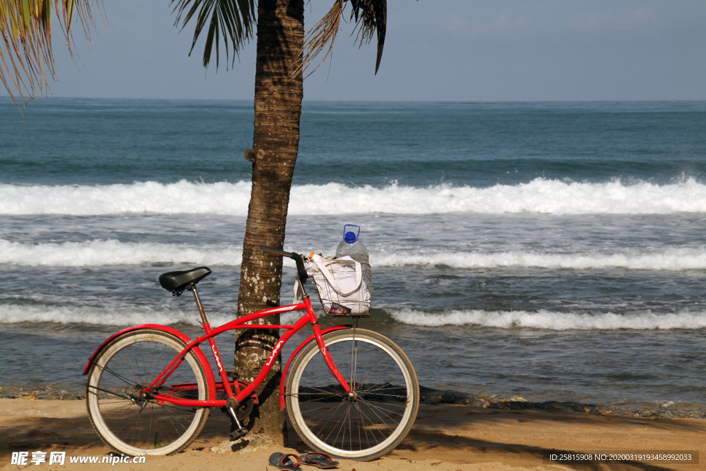 自行车共享单车车技图片