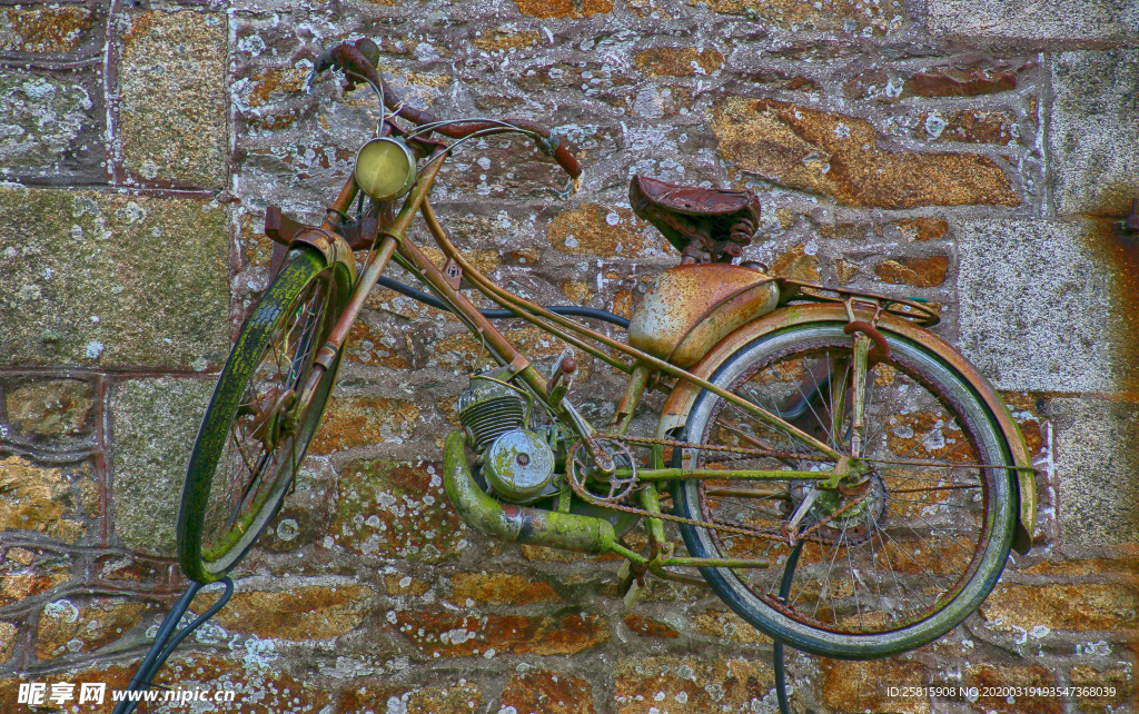 自行车共享单车车技图片