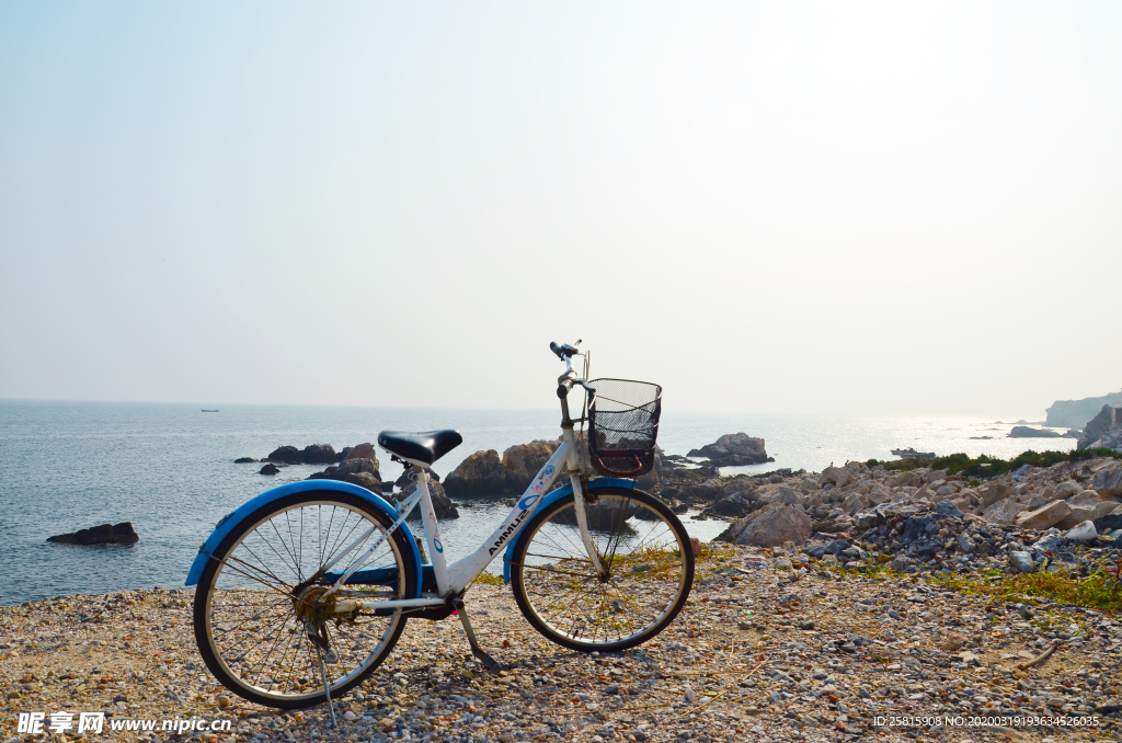 自行车共享单车车技图片