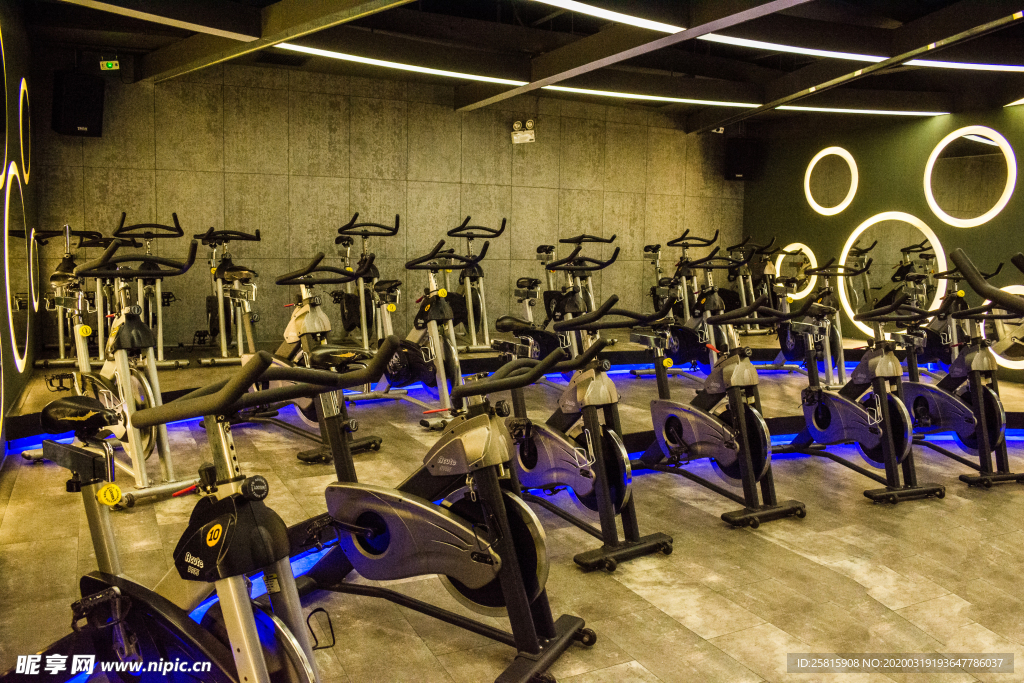 自行车共享单车车技图片