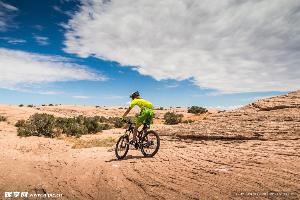 自行车共享单车车技图片