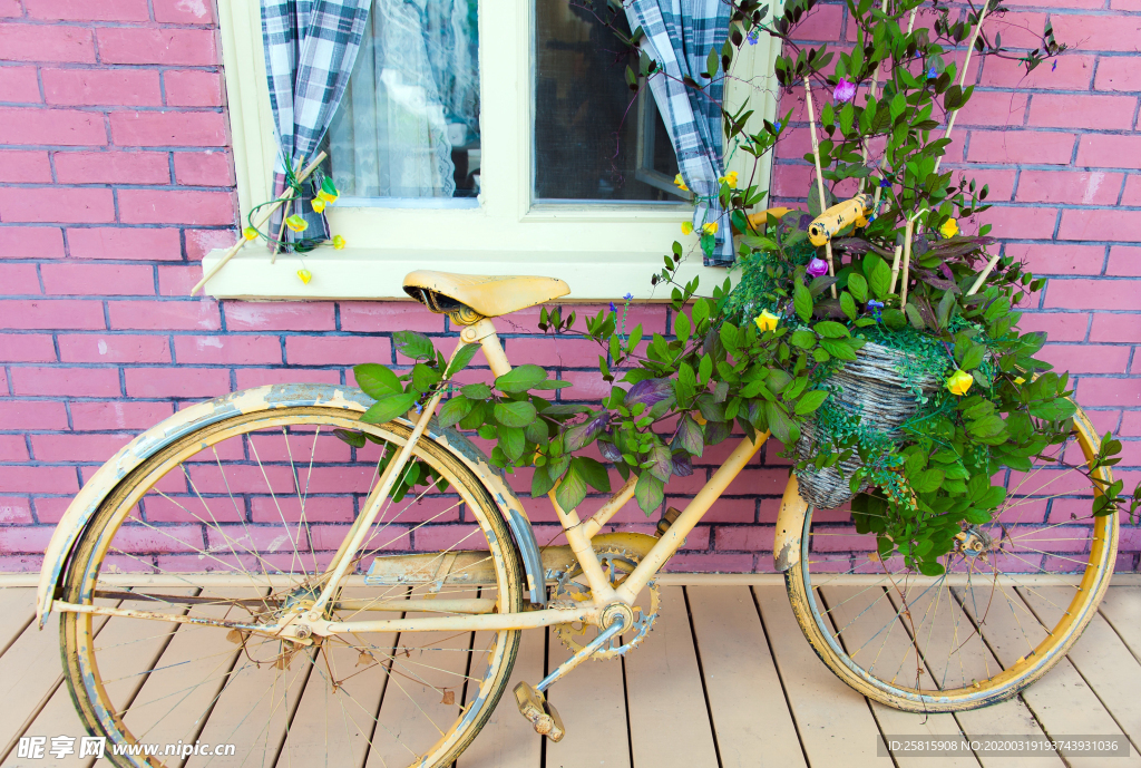 自行车共享单车车技图片