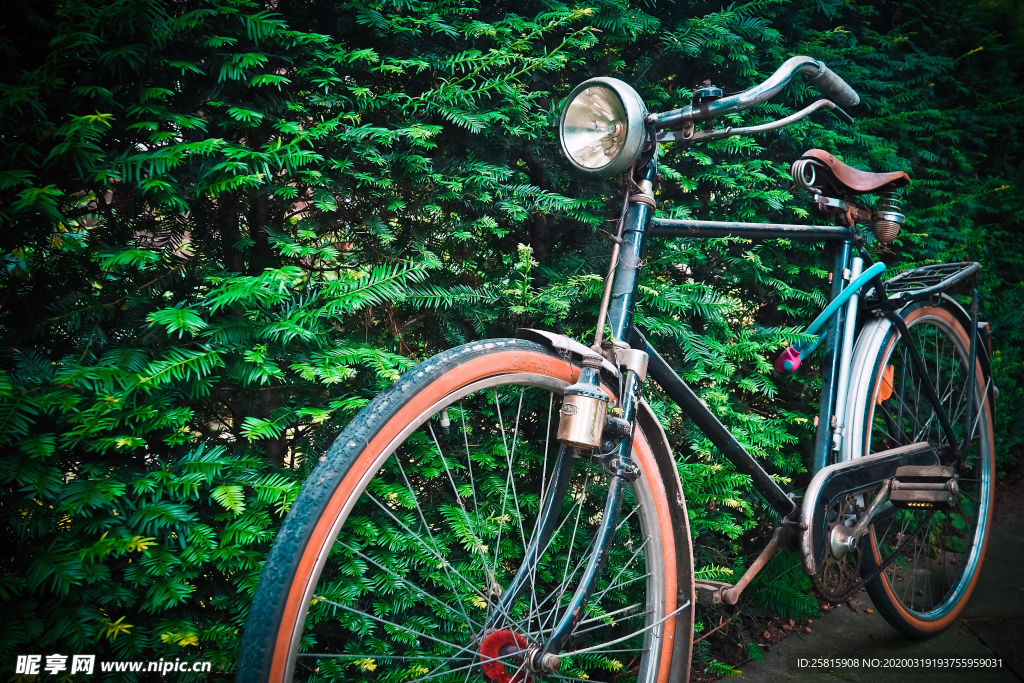 自行车共享单车车技图片