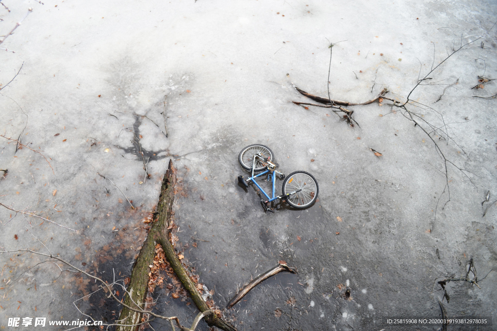 自行车共享单车车技图片