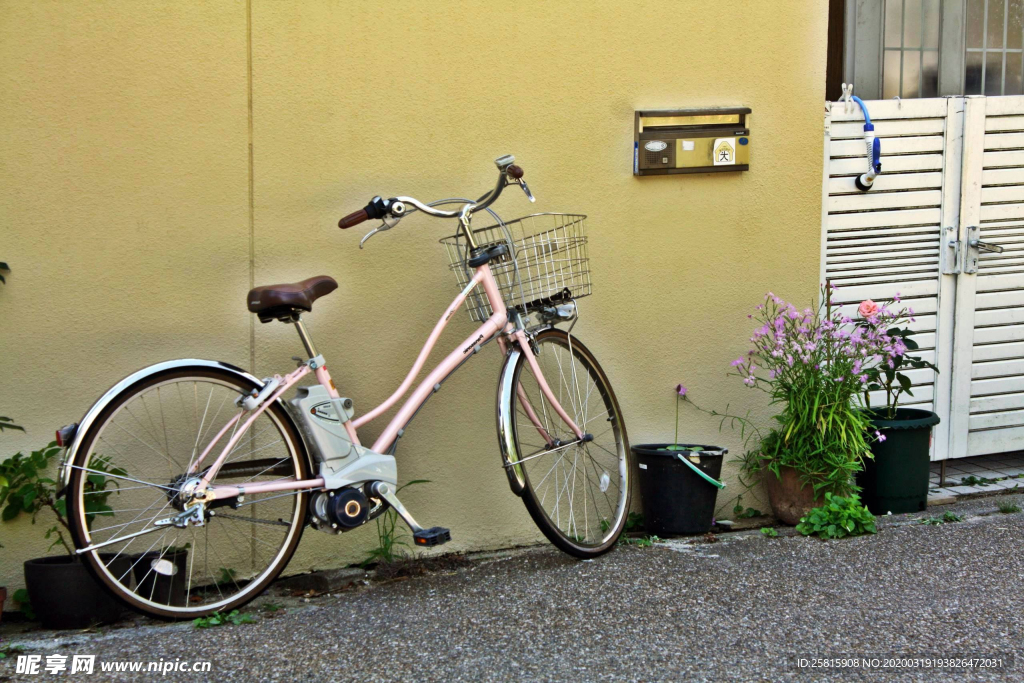 自行车共享单车车技图片