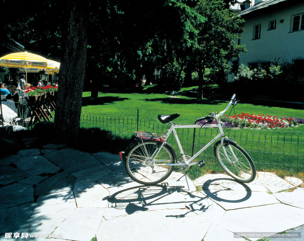 自行车共享单车车技图片