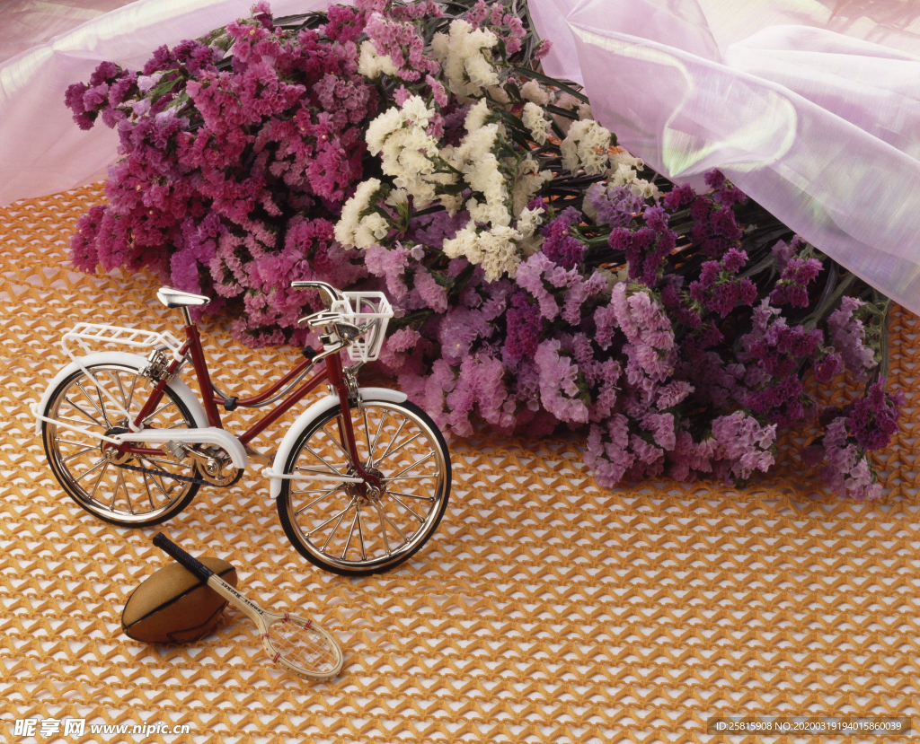 自行车共享单车车技图片