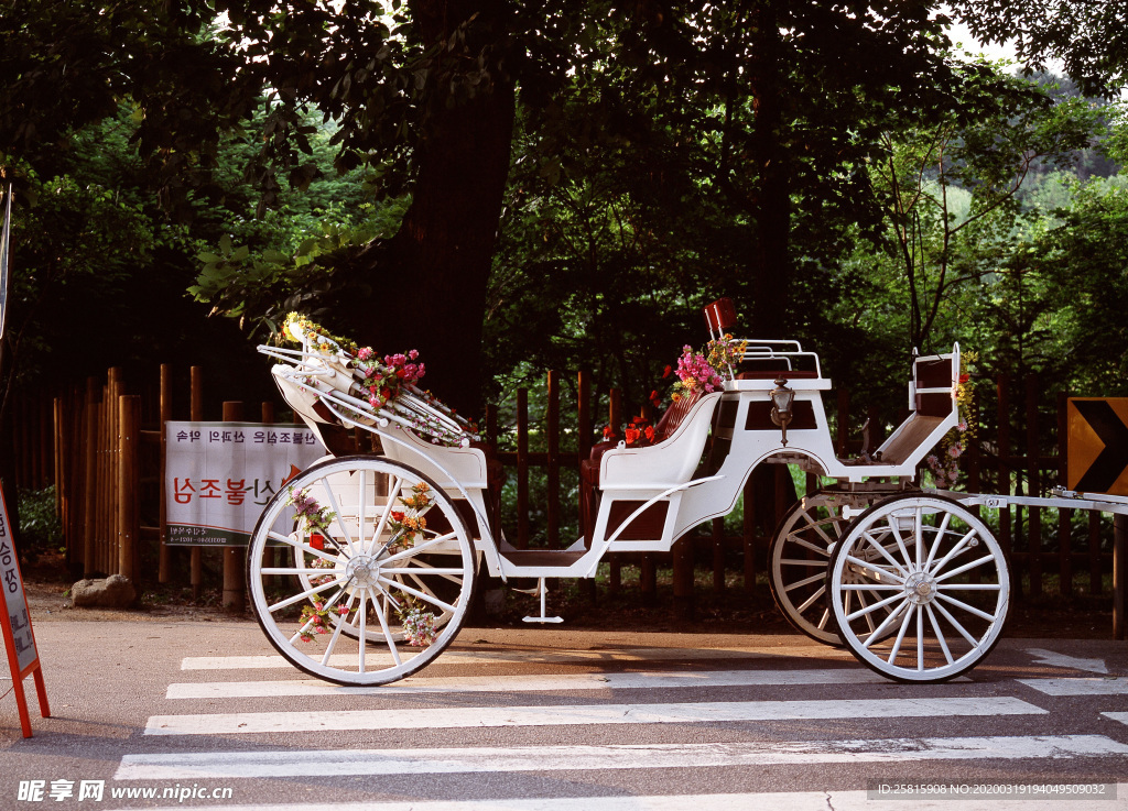 自行车共享单车车技图片