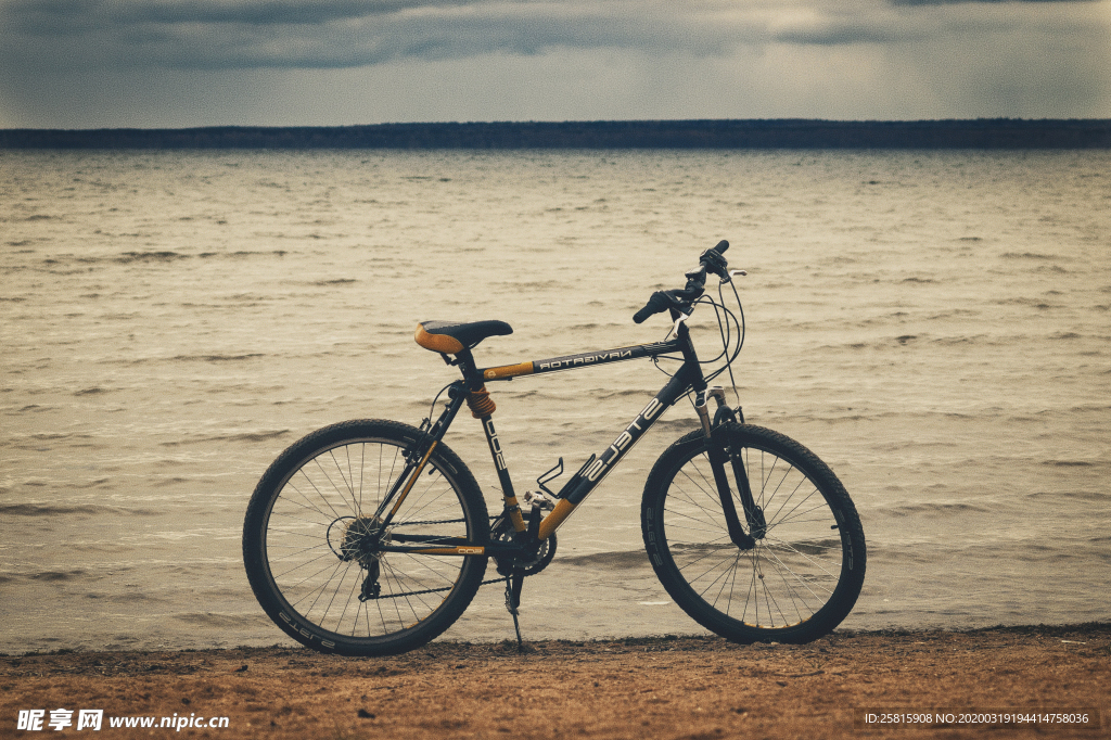 自行车共享单车车技图片