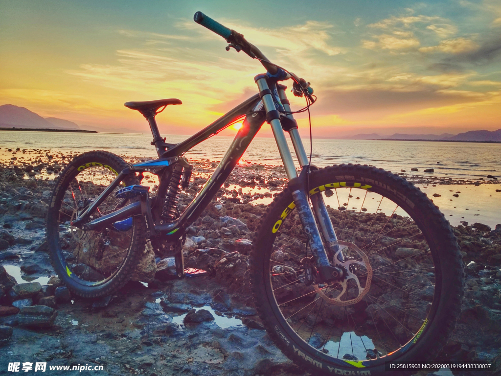 自行车共享单车车技图片