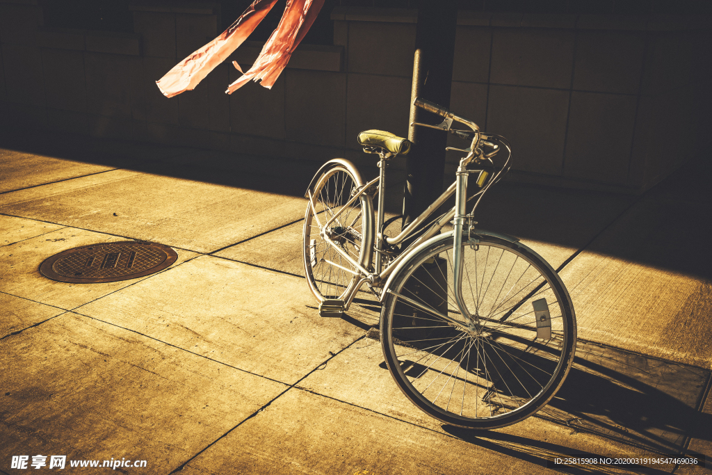 自行车共享单车车技图片