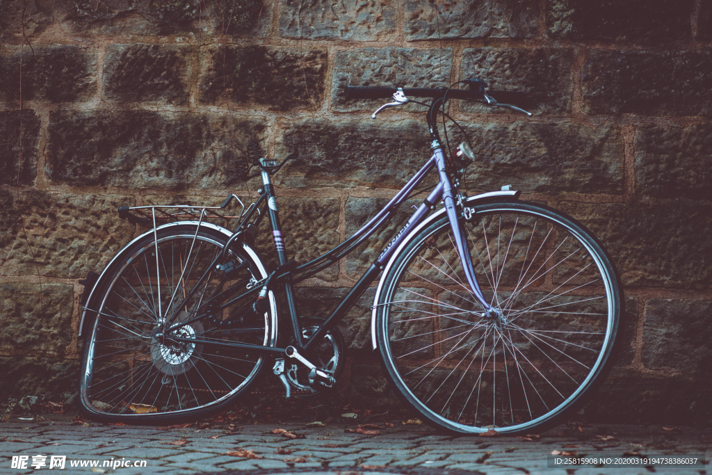 自行车共享单车车技图片