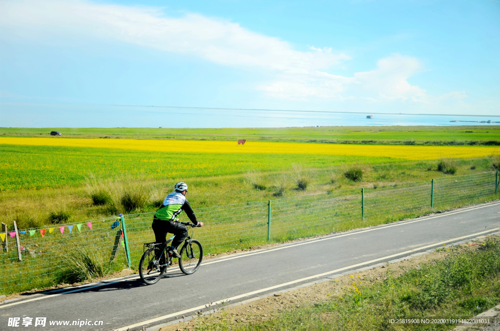 自行车共享单车车技图片
