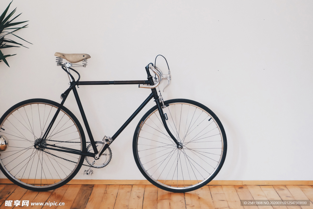 自行车共享单车车技图片