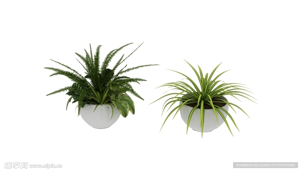 植物盆栽3d模型