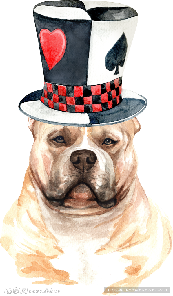 水彩绘画可爱小狗