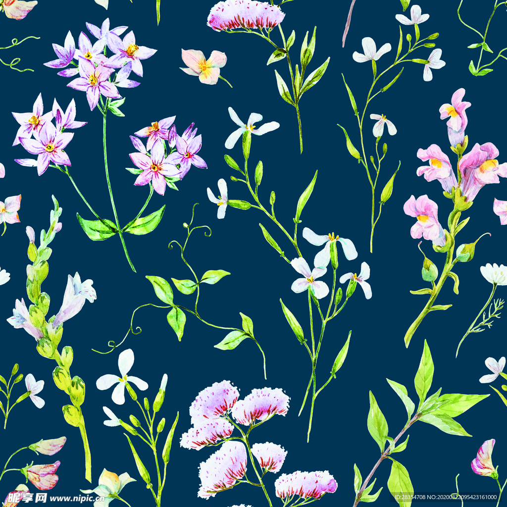 设计  水彩花   手绘花