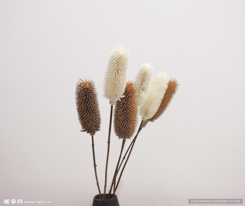 花艺插花花卉图片