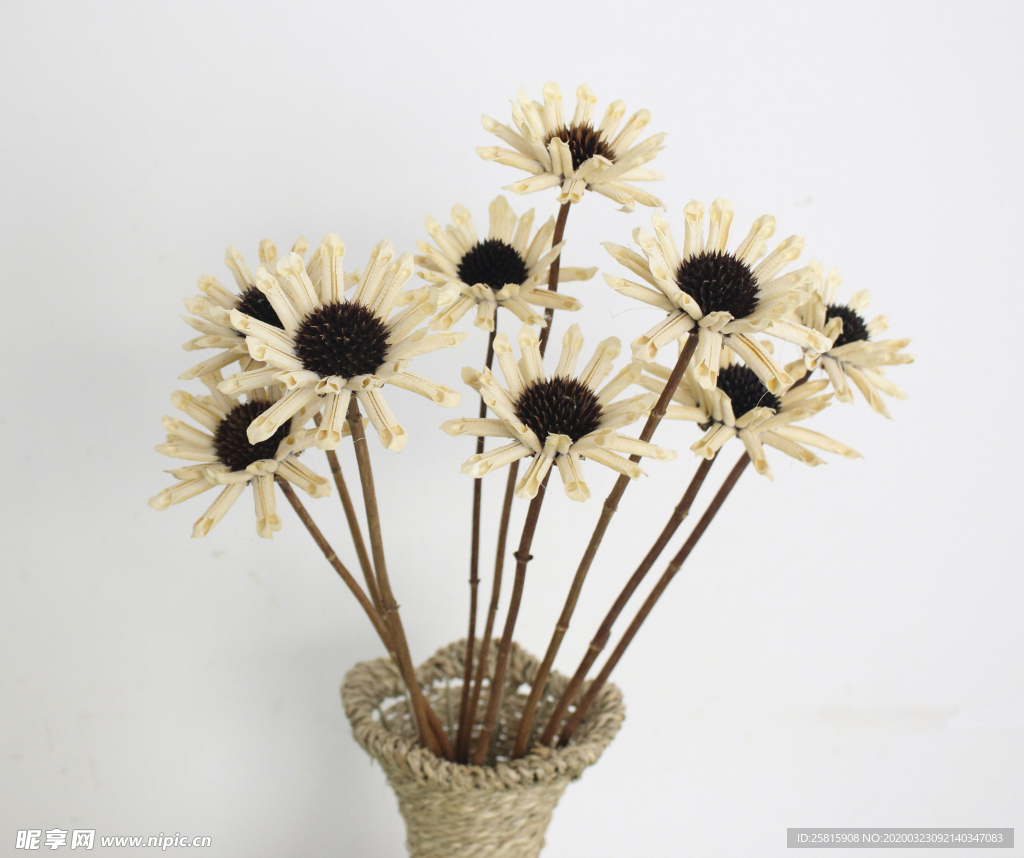 花艺插花花卉图片