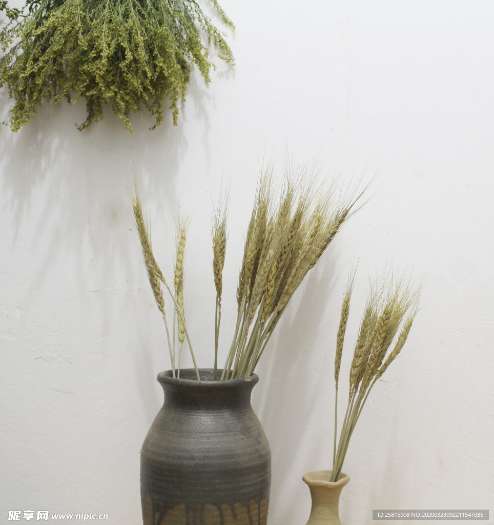 花艺插花花卉图片