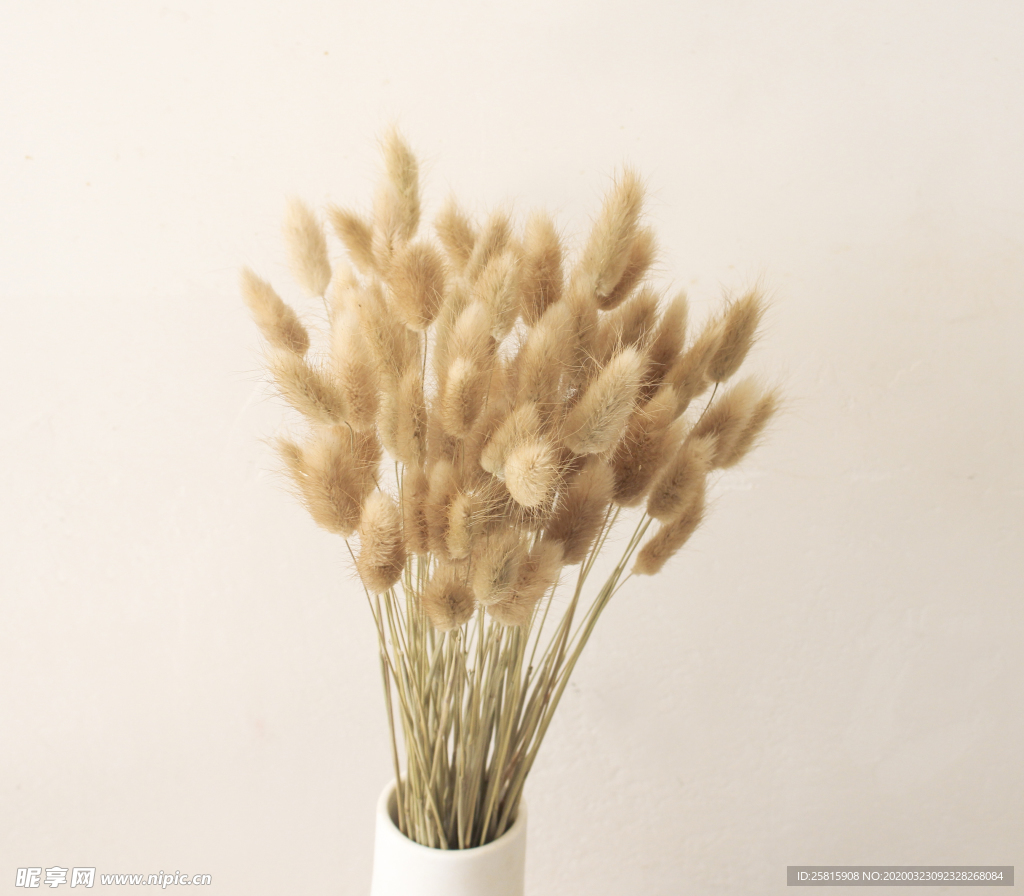 花艺插花花卉图片