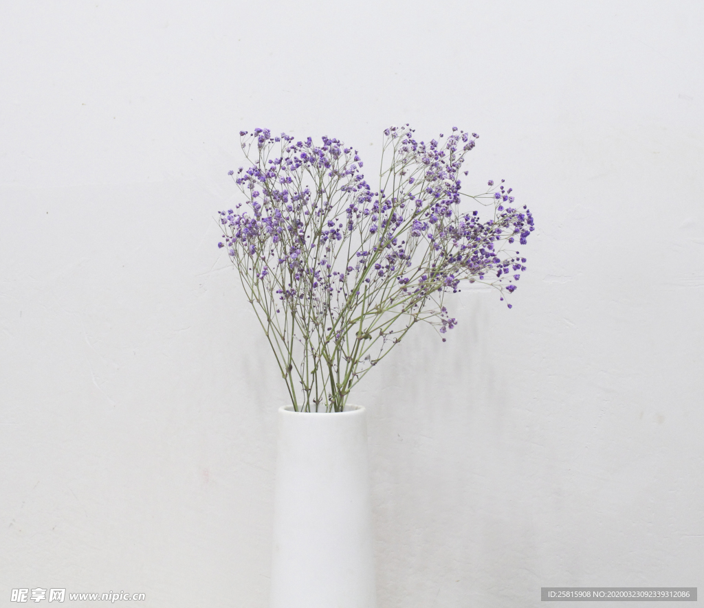 花艺插花花卉图片