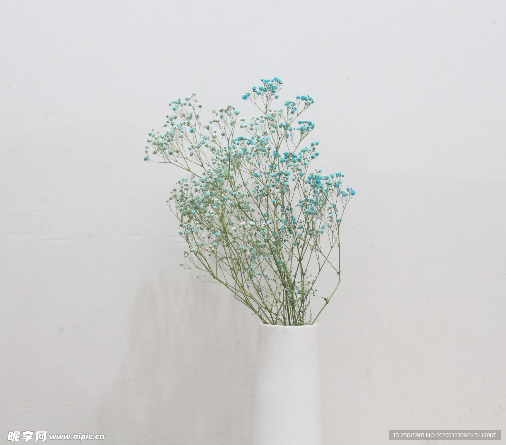 花艺插花花卉图片