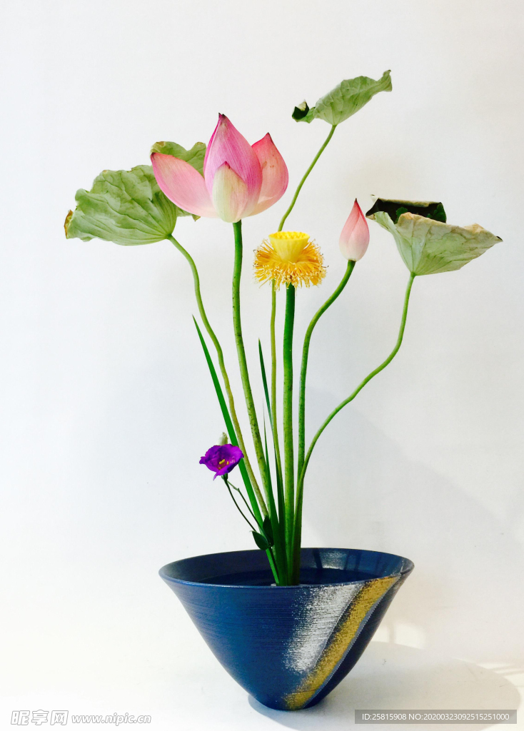 花艺插花花卉图片