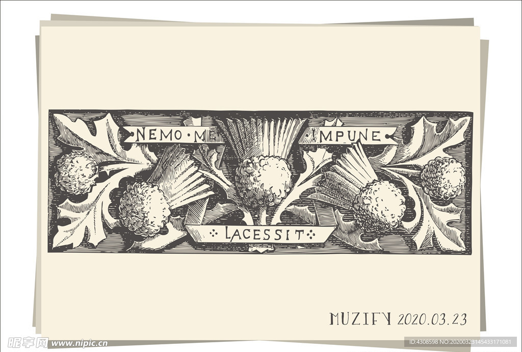 复古花卉花边素描画