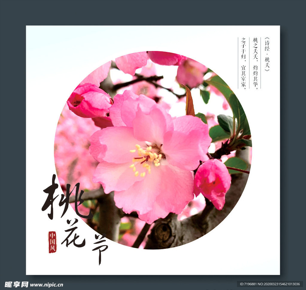 桃花节