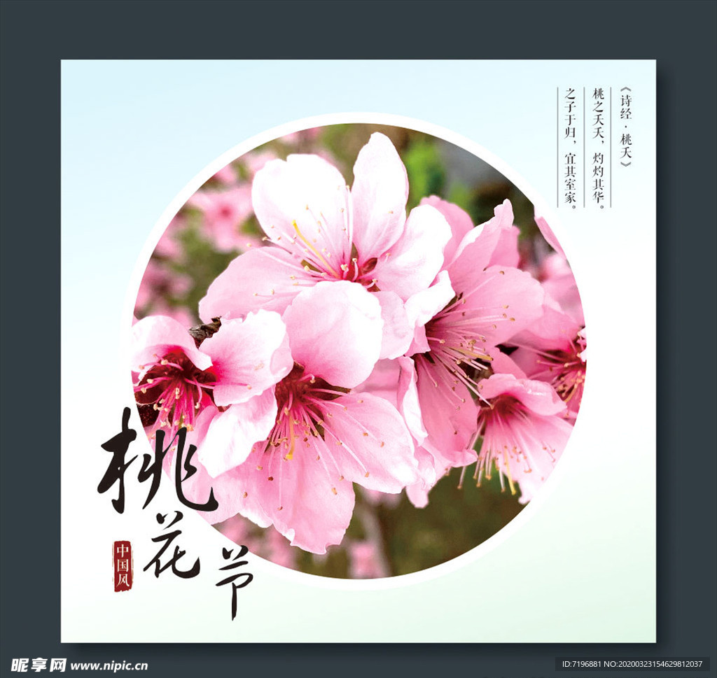 桃花节