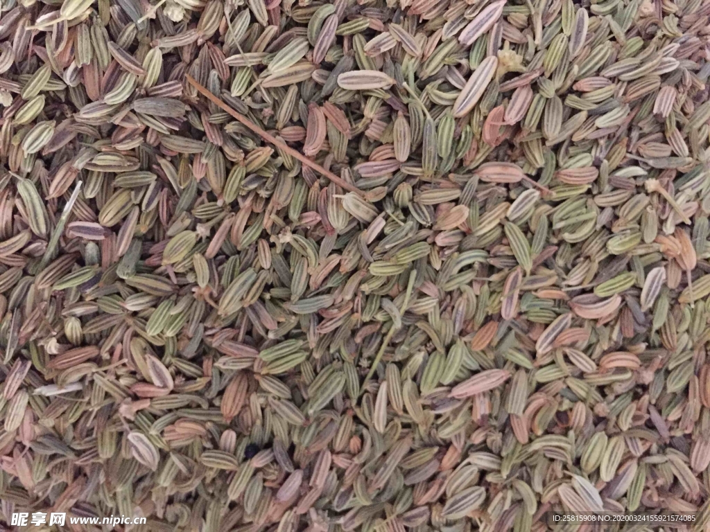 花椒桂皮陈皮茴香调料