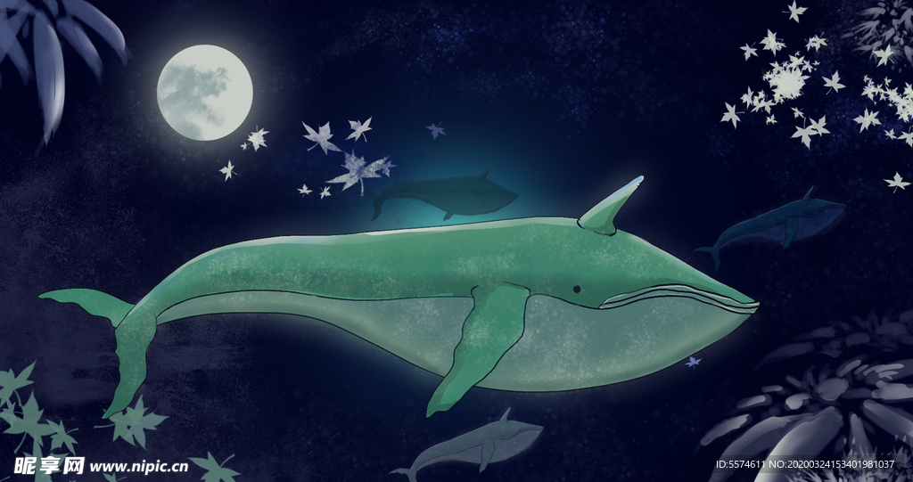 鲸鱼插画