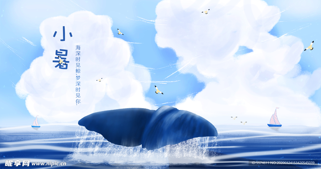 鲸鱼插画