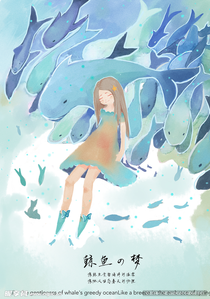 鲸鱼插画