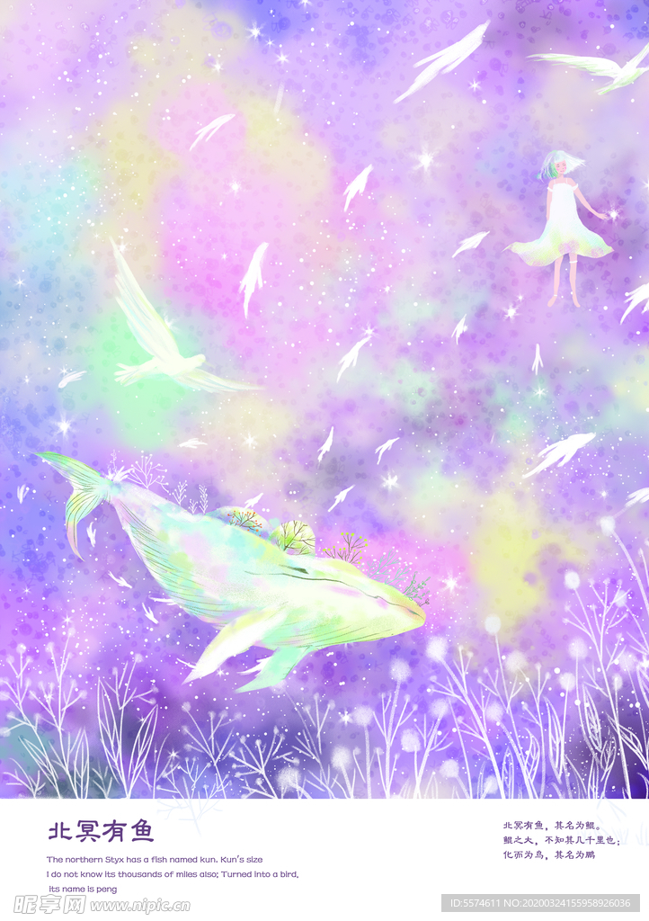 鲸鱼插画