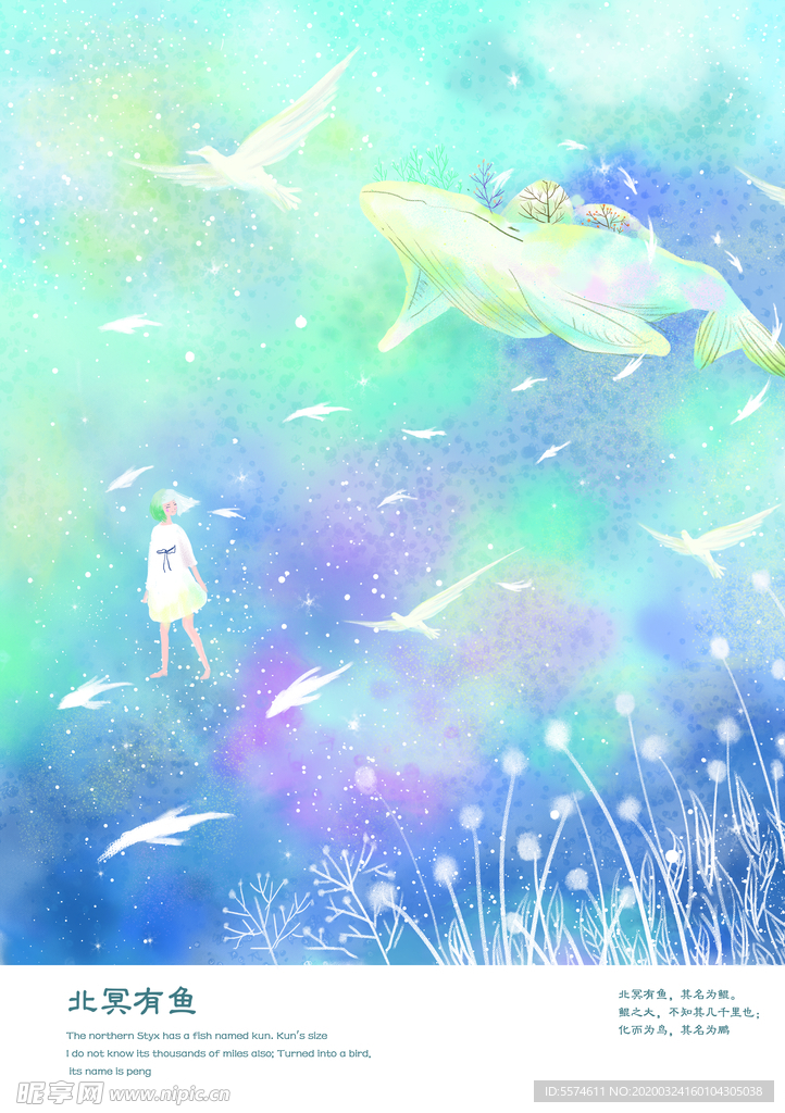 鲸鱼插画