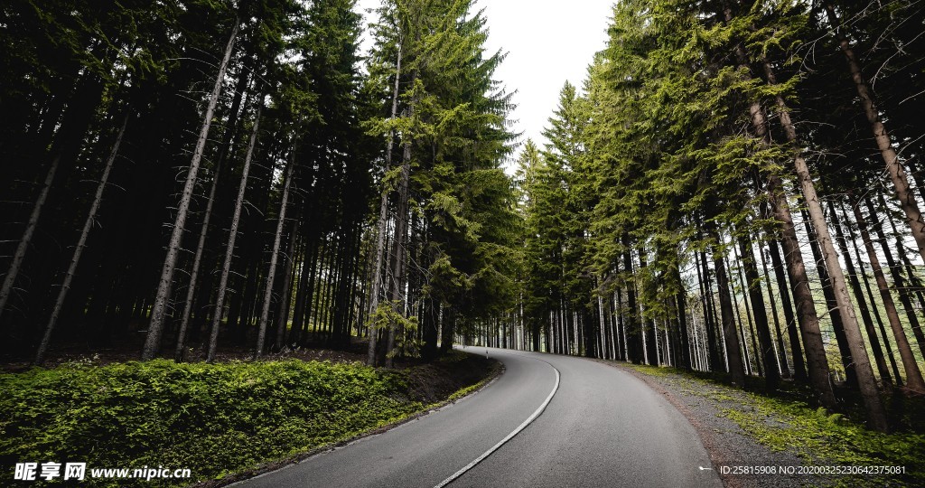 公路山路小径小道图片