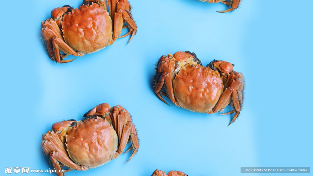 螃蟹美味图片