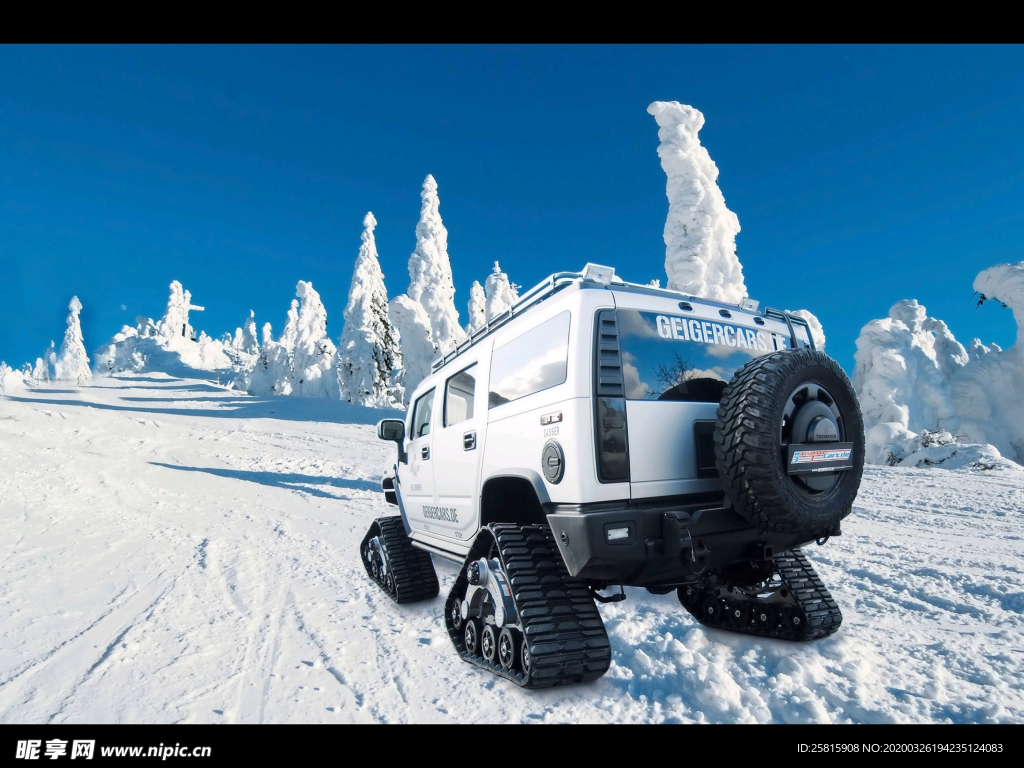 滑雪运动滑雪板图片