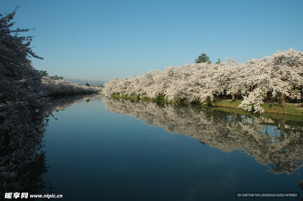 河岸风景