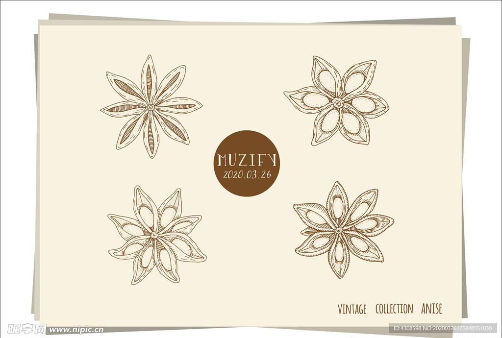 4款入八角 茴香 手绘稿